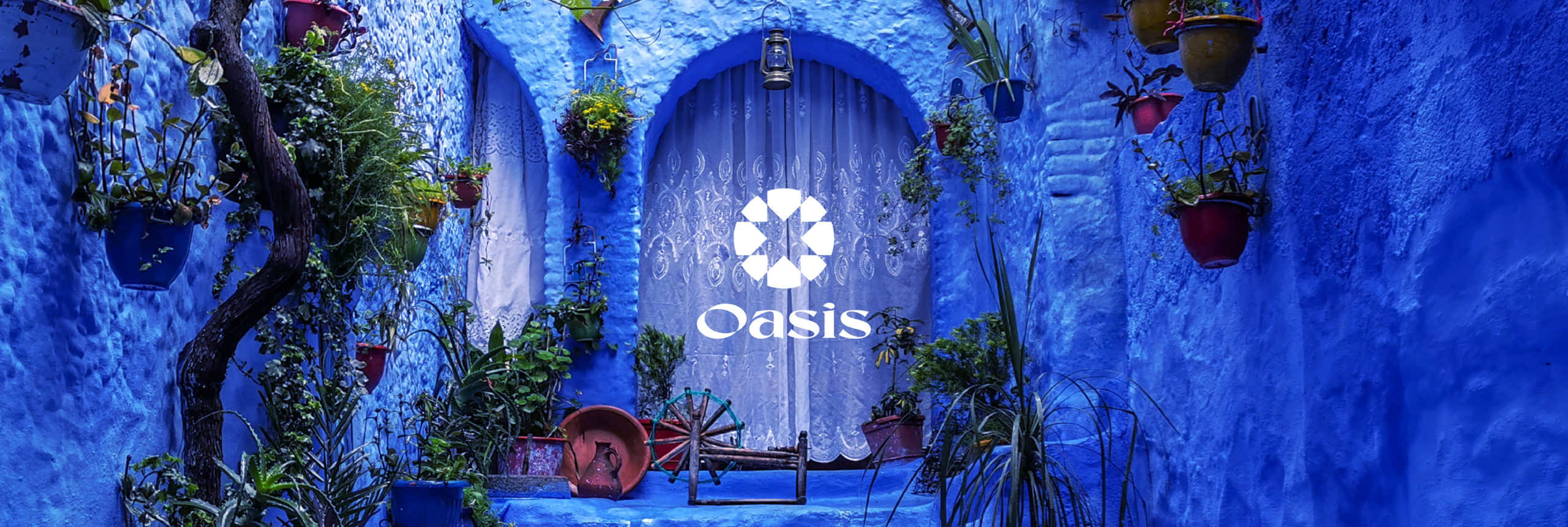 Oasis