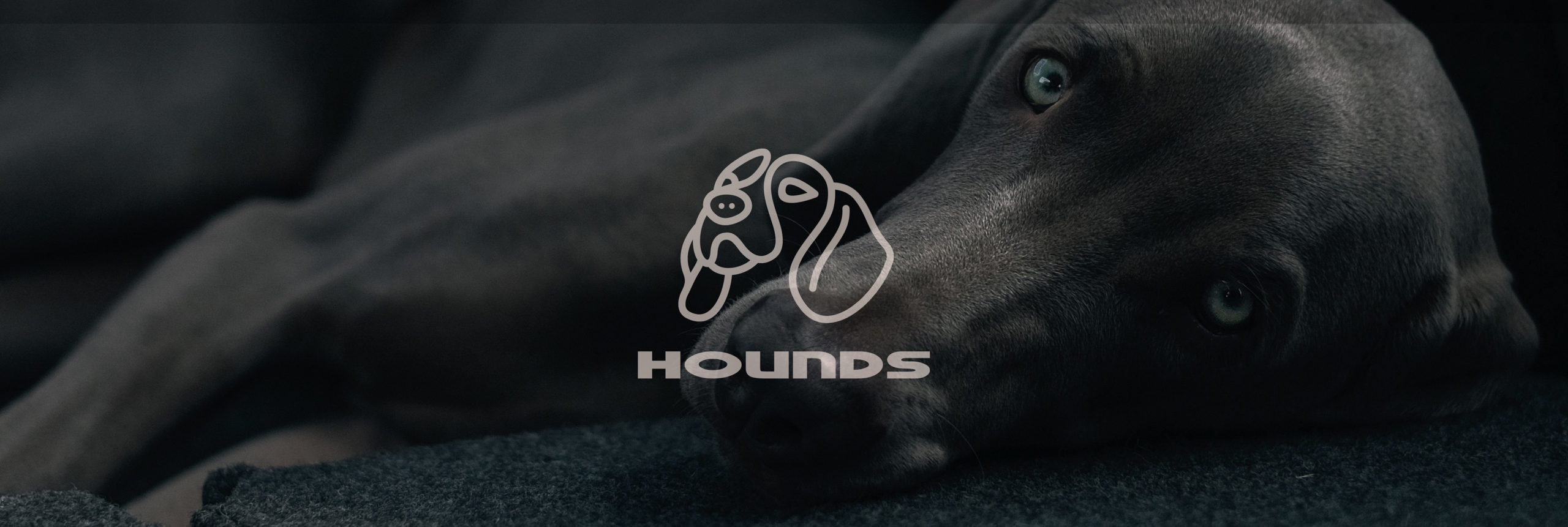 Hounds